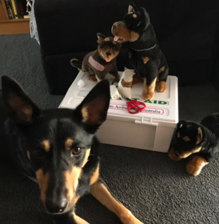 0002_Vector-Smart-Object