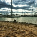 10268868_405192432979355_1275248397_n-150x150