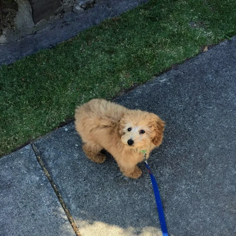 504136478-3-1024x1024