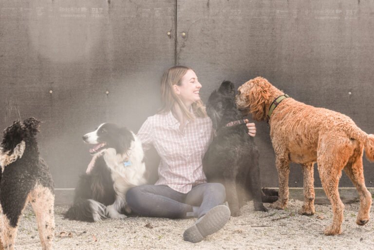 animal assisted therapy melbourne