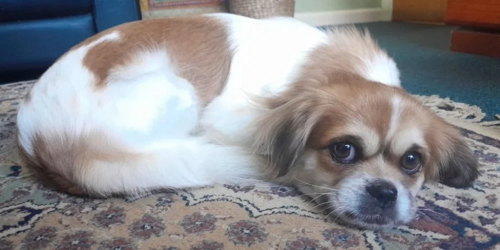 4478253920236823778-1024x768