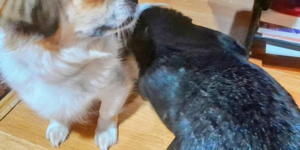 thumbnail_20230815_2057532-1024x1024