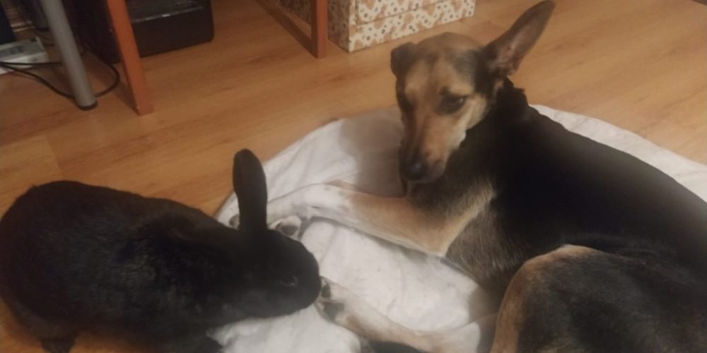 thumbnail_IMG_20210818_211844-1024x575