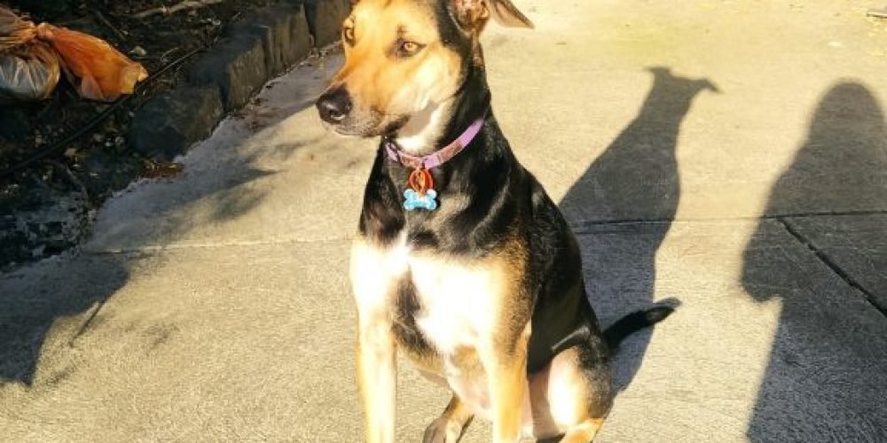 thumbnail_IMG_20220413_164435-576x1024